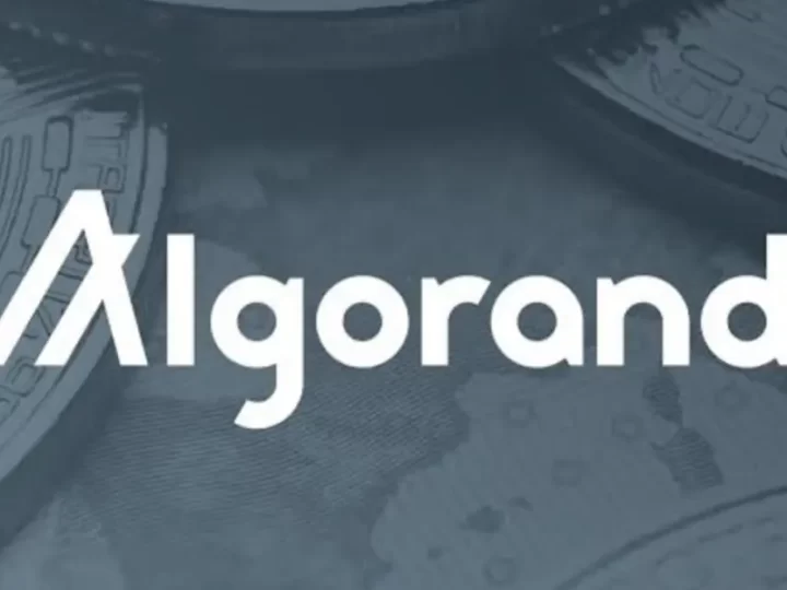 Algorand (ALGO) price doubles in two days, here are the possible reasons