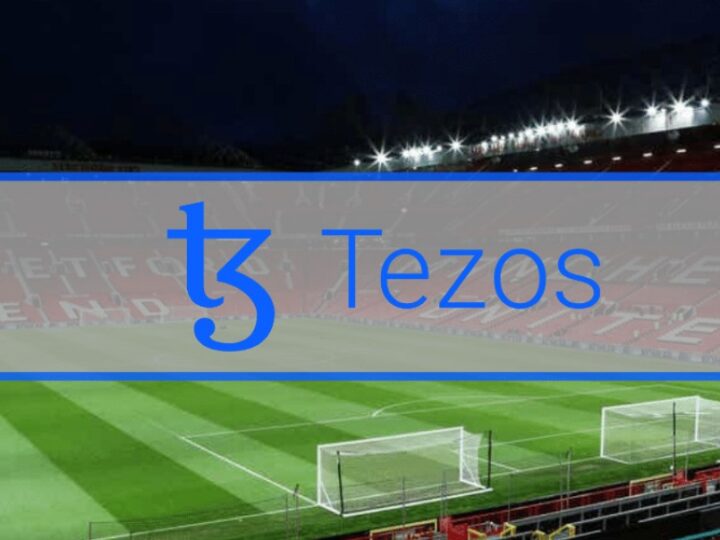 Tezos sponsors Manchester United and Baby Doge sponsors TSG Hoffenheim