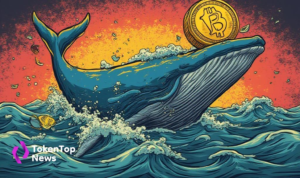 Bitcoin Whales Accumulate Amid Price Decline