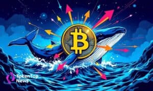 Whale Activity Stabilizes Bitcoin Amid High Realized Losses