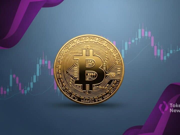 Bitcoin stalls as Fear & Greed cools, flows fade