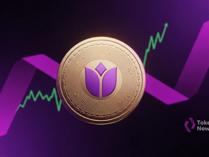Flying Tulip opens public token sale with $1B FDV cap Feb 16