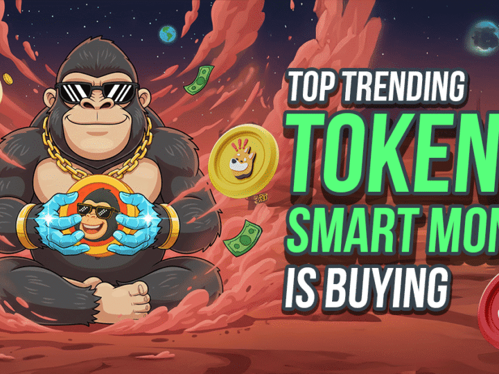 Altcoin News Update: From Infrastructure Giants to Meme Presales, These Top 7 Coins Are Drawing Attention