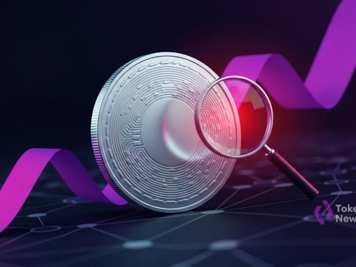 Stablecoins face scrutiny as FATF report flags illicit use