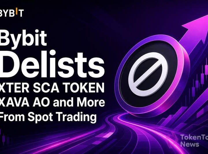 Bybit Delists XTER, SCA, TOKEN, XAVA, AO and More From Spot Trading